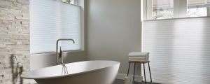 Blinds
